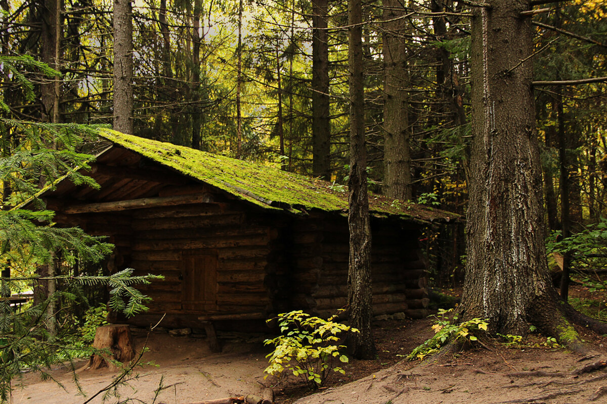 фото из интернета