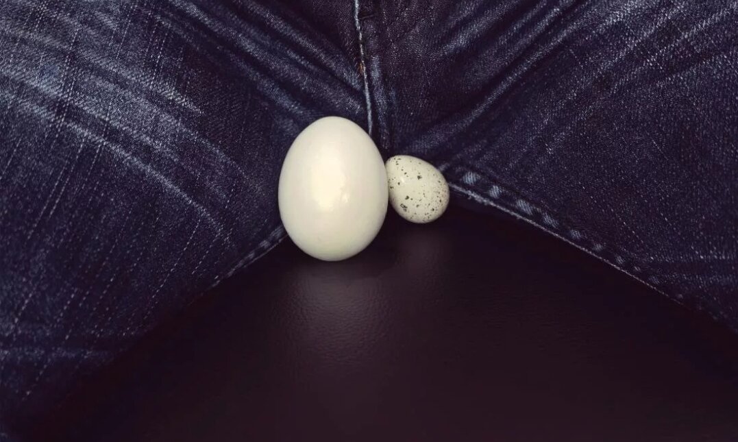 Яйца или яички? 