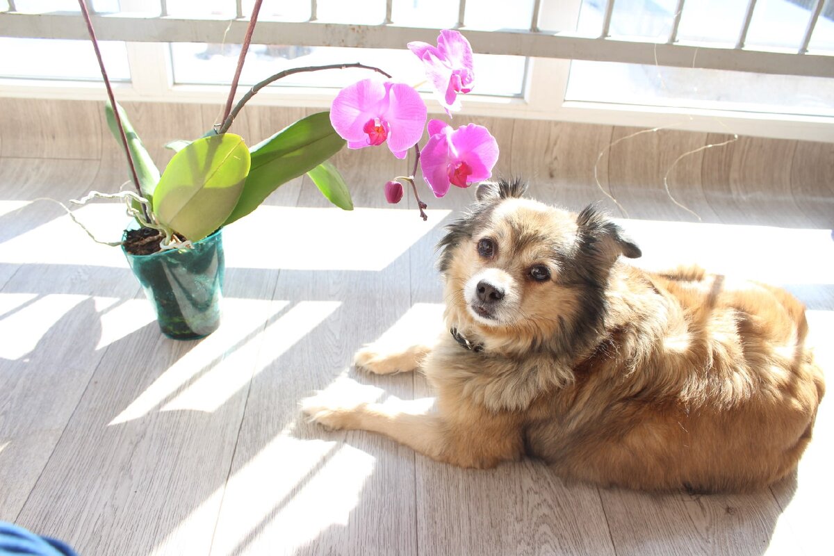 Фото из архива моей дочки Натали. Кстати она  очень круто снимает детей , животных и природу. У нее просто особый талант.