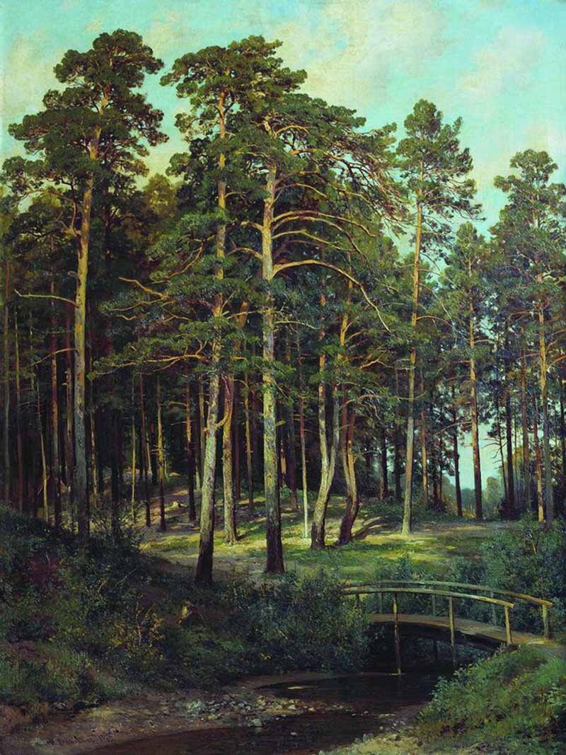 Shishkin. Корабельная роща 1898 Шишкин. Шишкин Иван Иванович Корабельная роща. Шишкин Иван Иванович (1832-1898). Шишкин Березовая роща 1878.