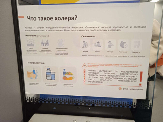   Анна Бойко