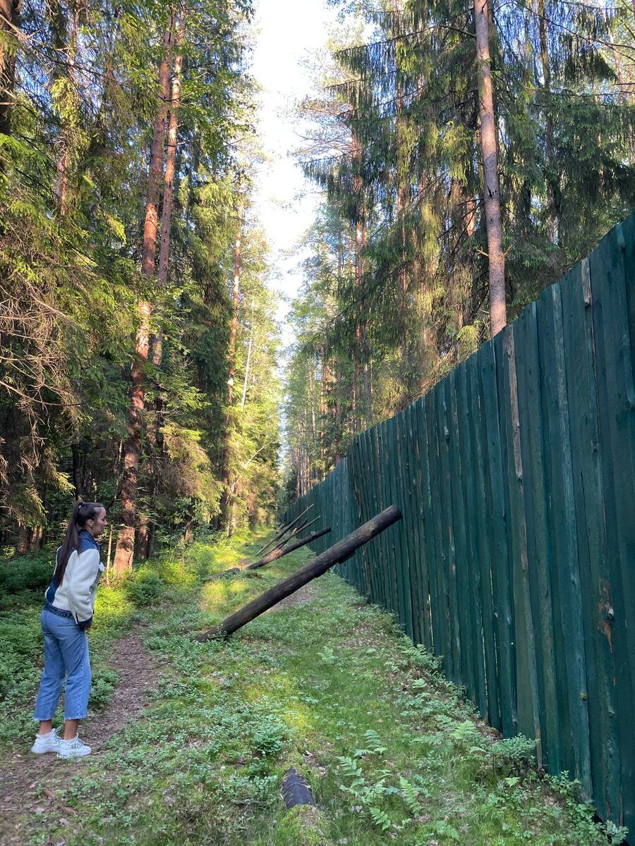 За высоким зеленым забором