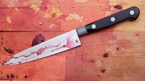    A bloodied wooden butcher's block with a blood stained knife. Анита Ким