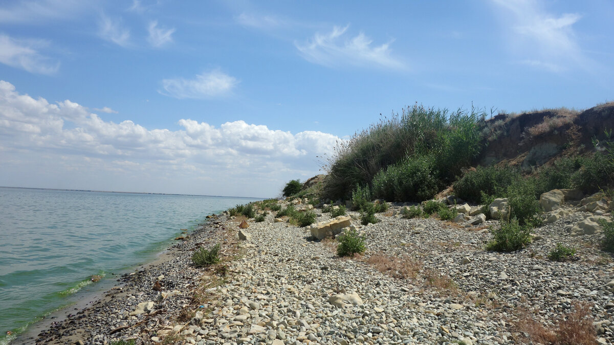 Где находится водохранилище цимлянская. Цимлянское водохранилище Волгоградская область. Нижний Чир Волгоградская область. Камышевское Цимянское водохранилищ. Цимлянское водохранилище фото.