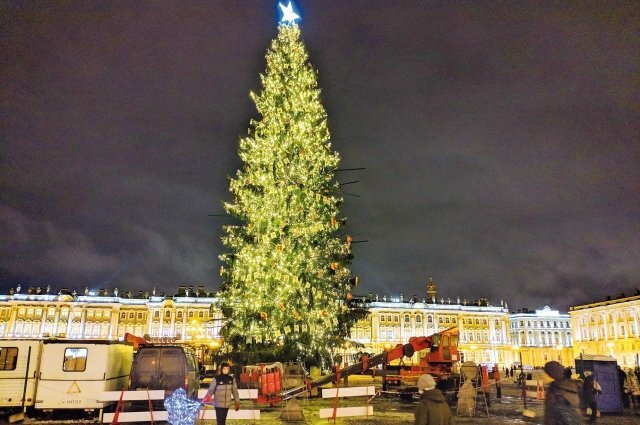    Когда украсят главную елку Петербурга на Дворцовой?