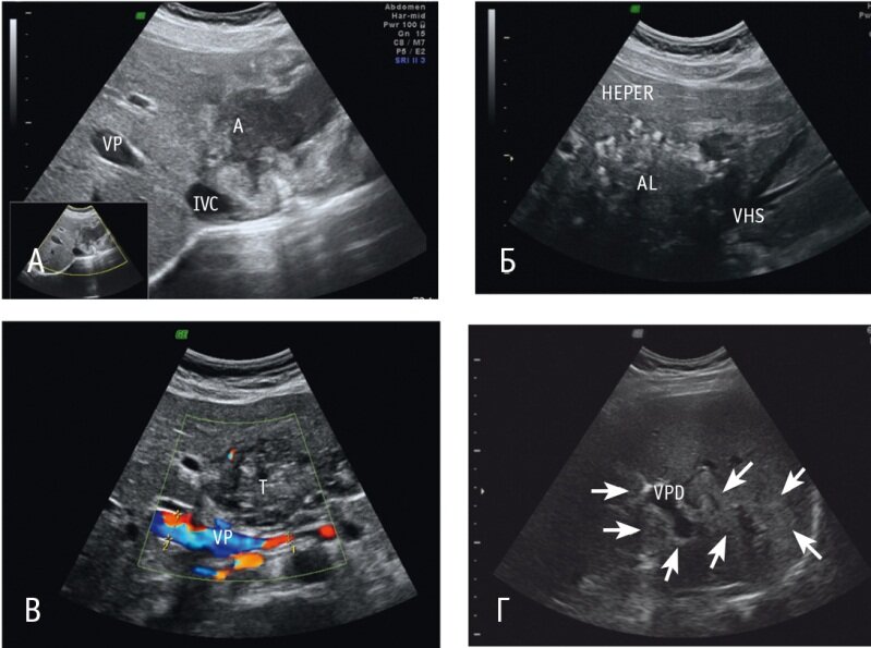 ФОТО: journaldoctor.ru