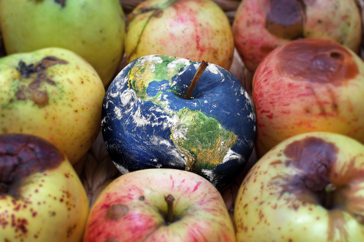 Фото freepik.com.