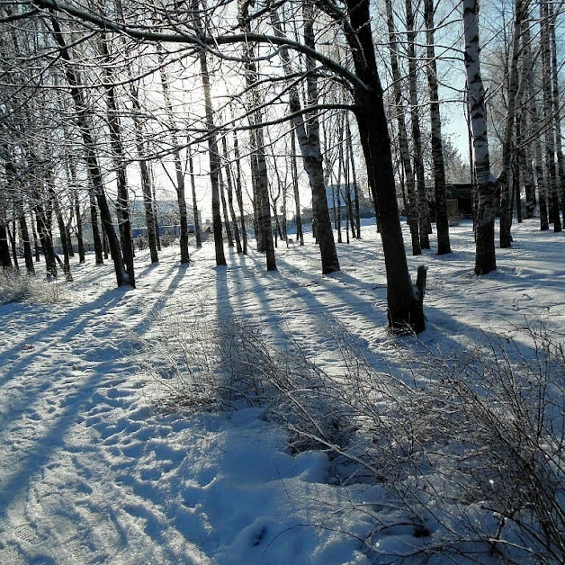 А у нас красота! (фото автора)