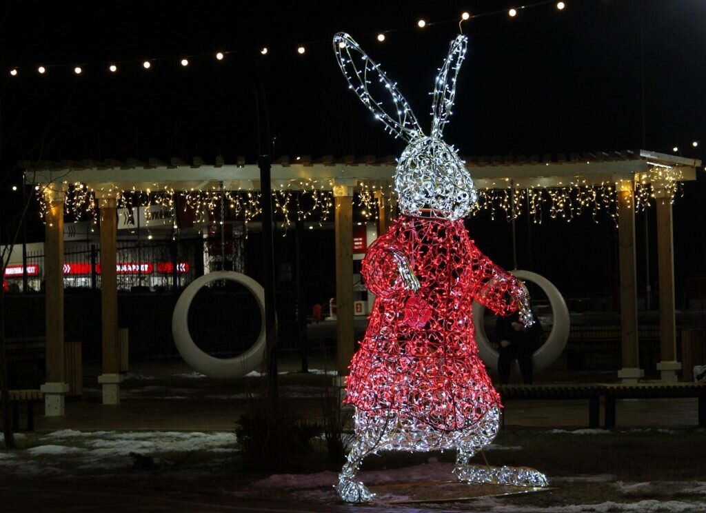      За пару часов до курантов: новогодний Волжский глазами прохожих и журналистов
