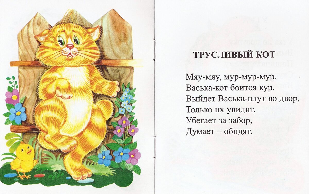 Стих про кота