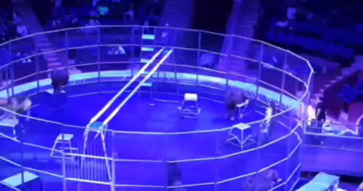    Лев напал на дрессировщика Алексея Макаренко в Сочинском государственном цирке Видео: телеграм