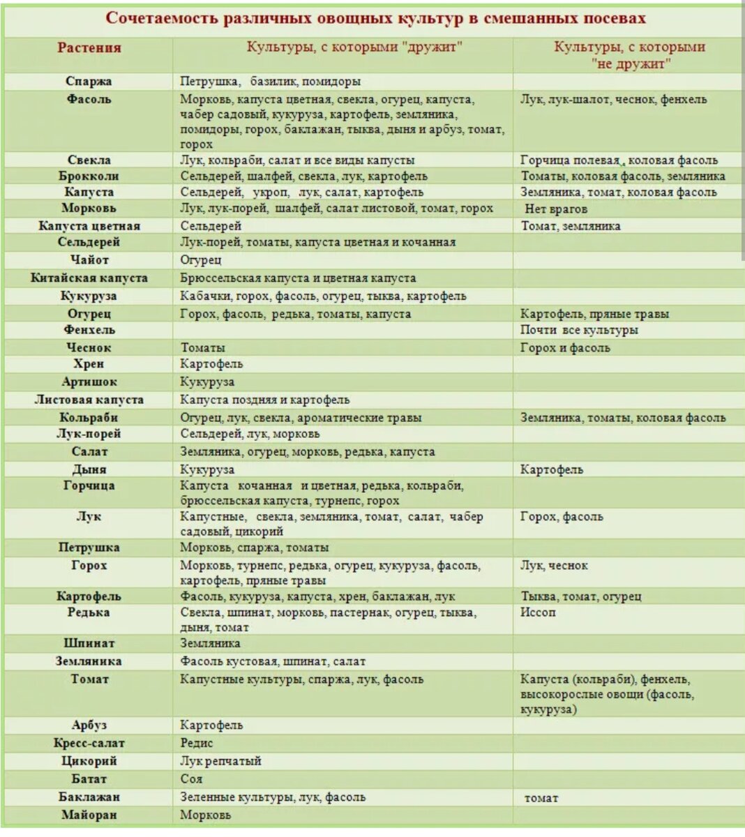 Список культурных. Совместимые посадки овощей в огороде таблица. Таблица совместимости растений на огороде соседство овощей. Совместимость овощей на огороде при посадке таблица. Совместные посадки овощей на грядке таблица.