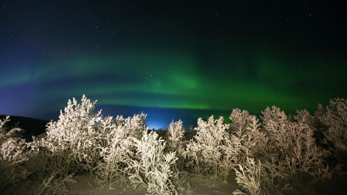    Северное сияние в Мурманской области© РИА Новости / Павел Львов