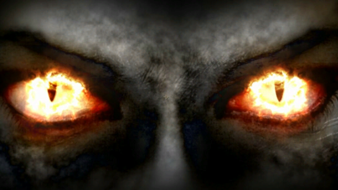 Фото взято с открытых источников.