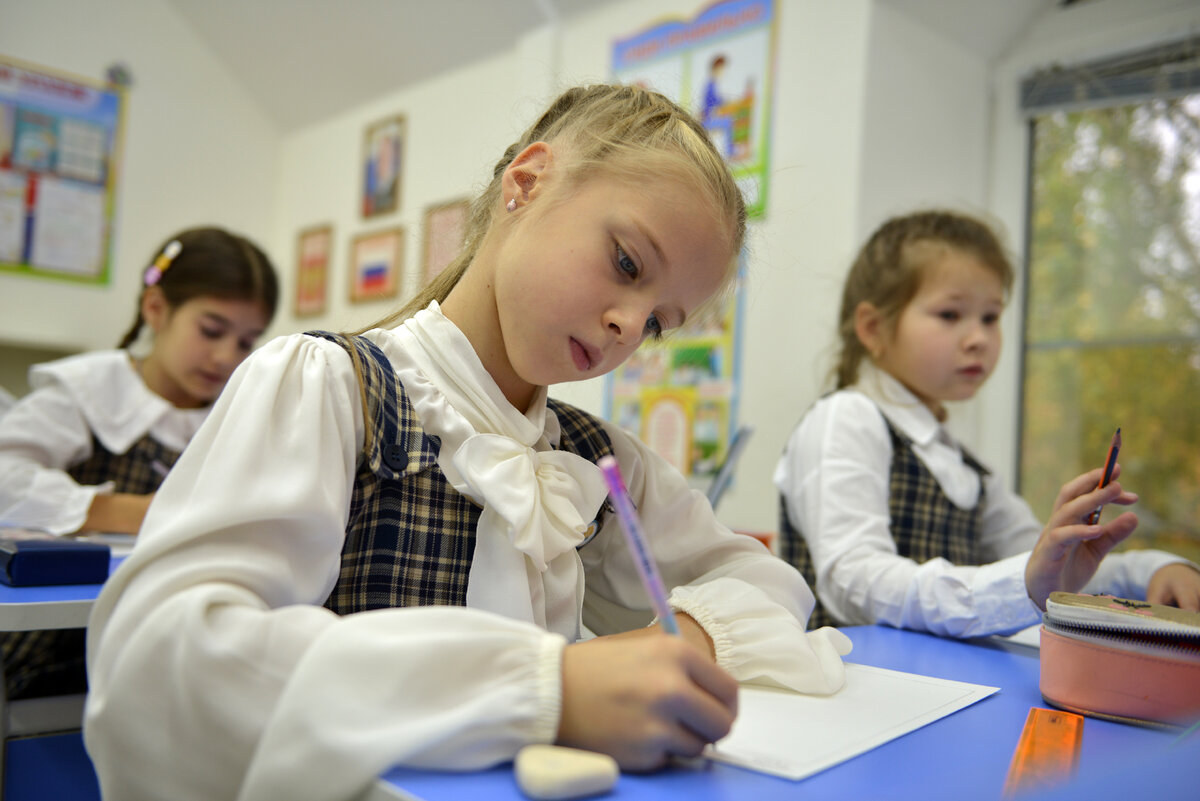 Когда в школе что-то не складывается, ребенок испытывает трудности, учится без желания и интереса, родителям приходится искать другие варианты, иногда не самые очевидные.