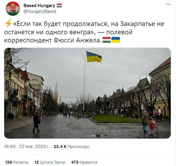    В Будапеште возмущены повальной принудительной мобилизацией закарпатских венгров