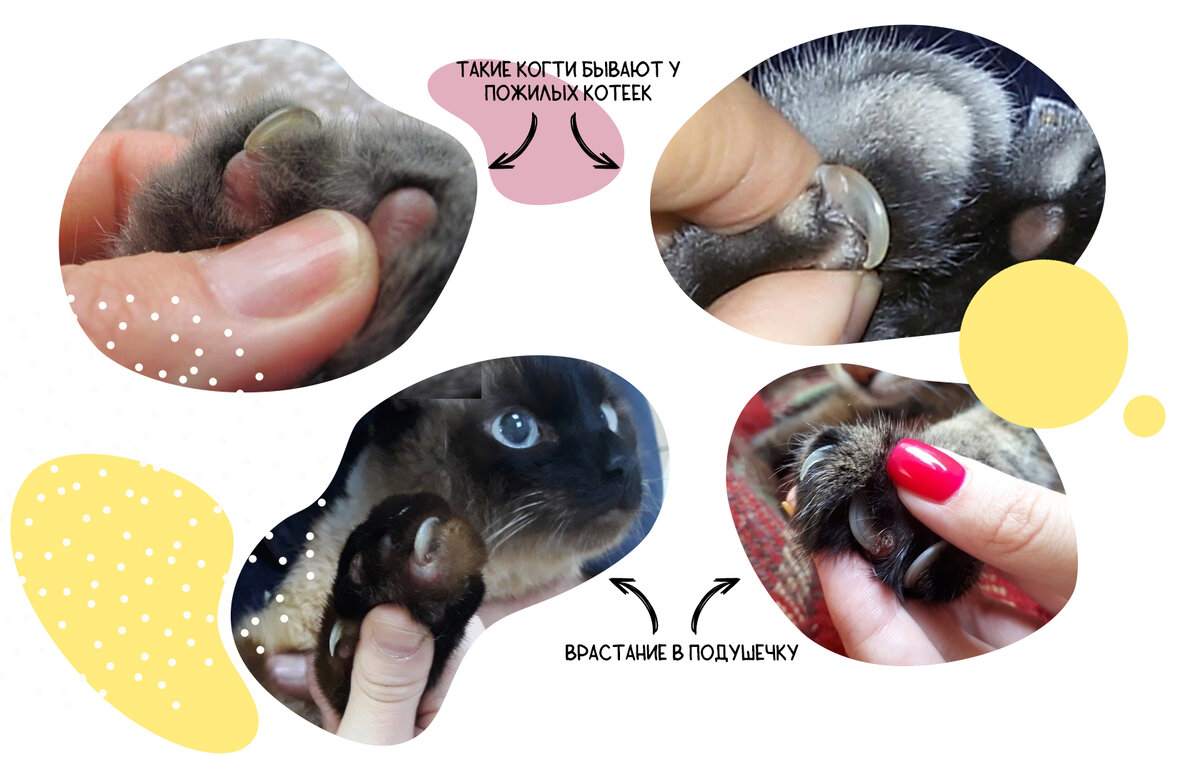 Как вы считаете: это очень больно или терпимо больно?