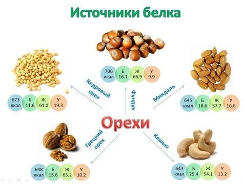 Белковая недостаточность: описание, симптомы, диагностика и лечение | ЛабСтори