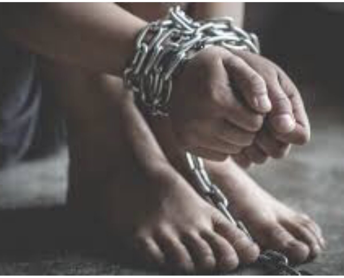 из свободных источников