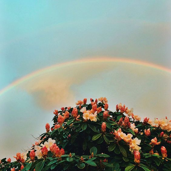 https://ru.pinterest.com/pin/679621400033507051/