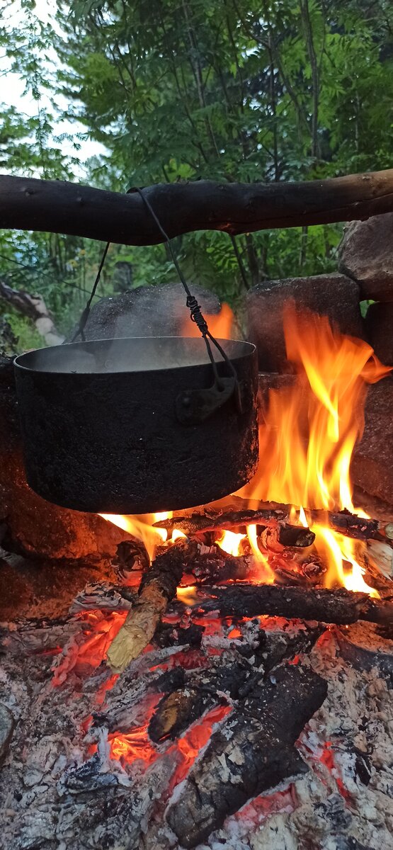 Самые вкусные блюда готовят на живом огне, я считаю.