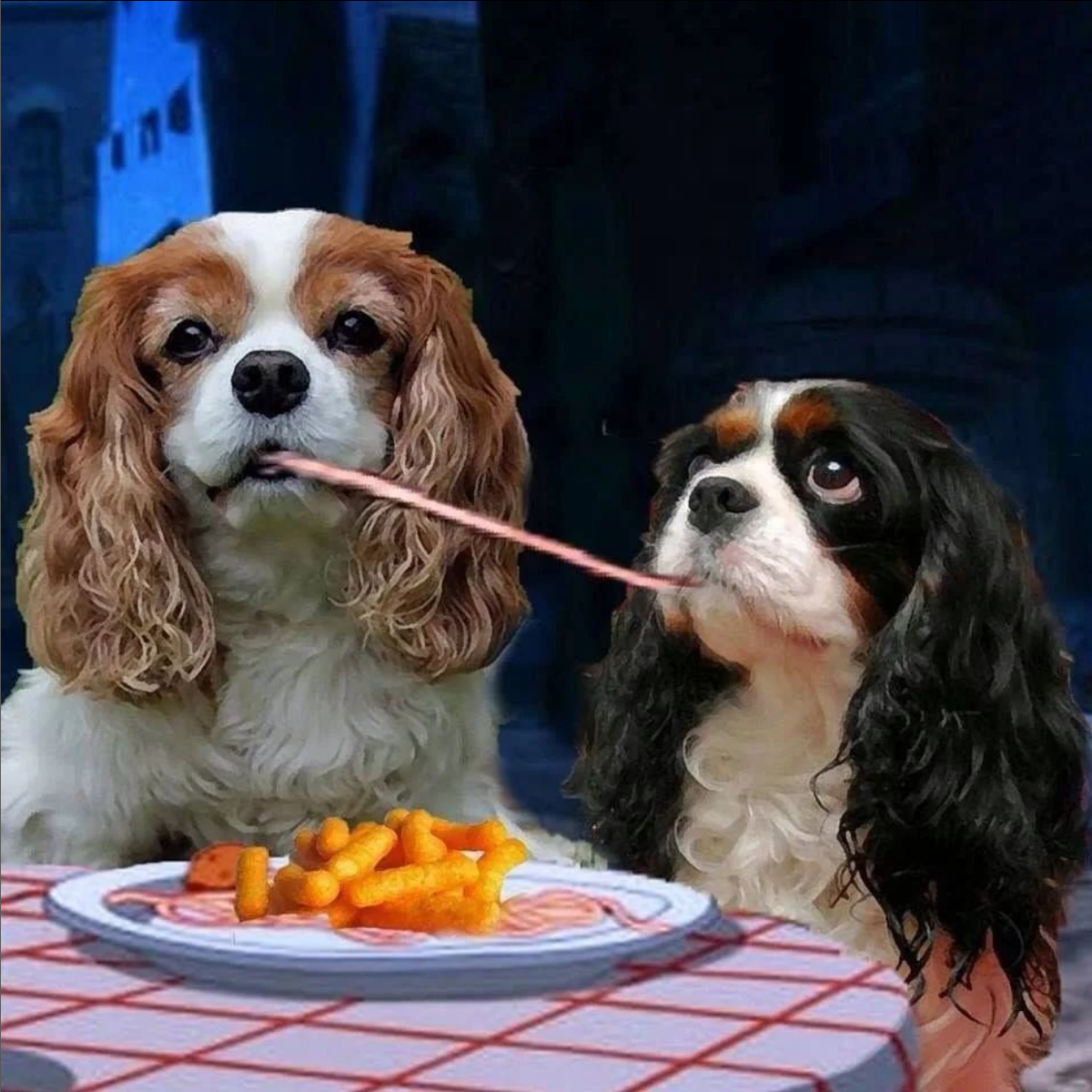 СПАНИЕЛЬ И ЕДА