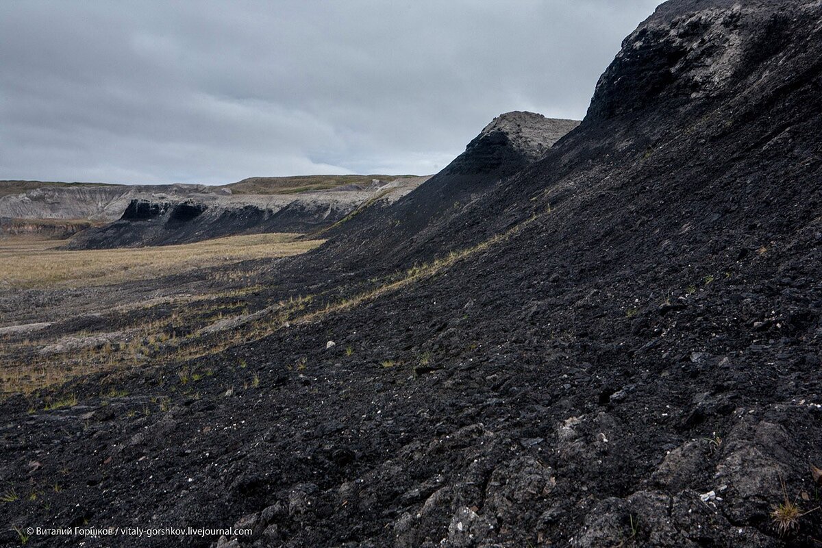 Фото: magictaiga.com