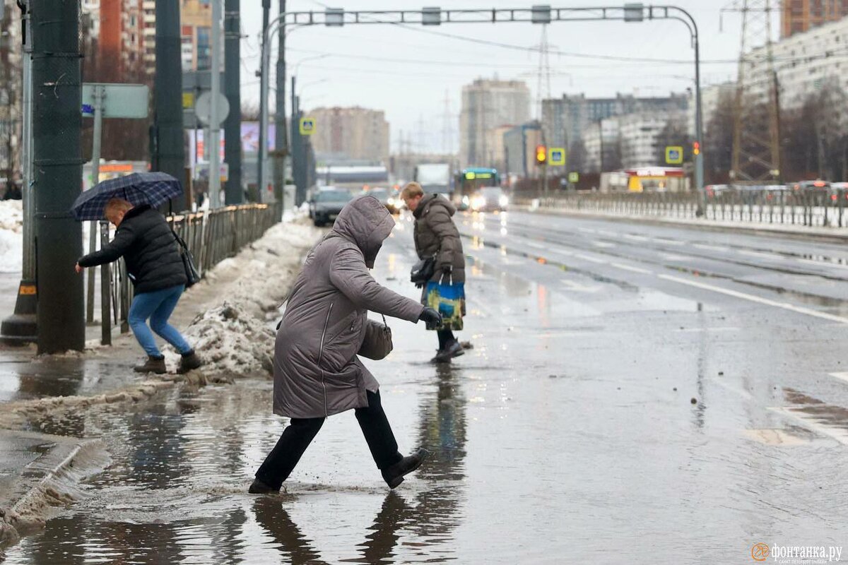 Петербург в марте прекрасен. Фото с ТГ Открытая парадная.