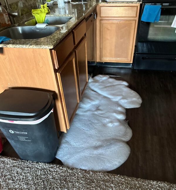 Фото © Reddit / CasuallyWorn