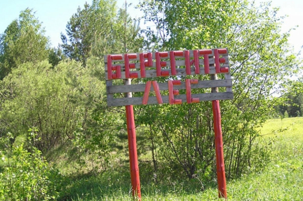    В белгородских лесах в этом году обустроили 128 км противопожарных полос