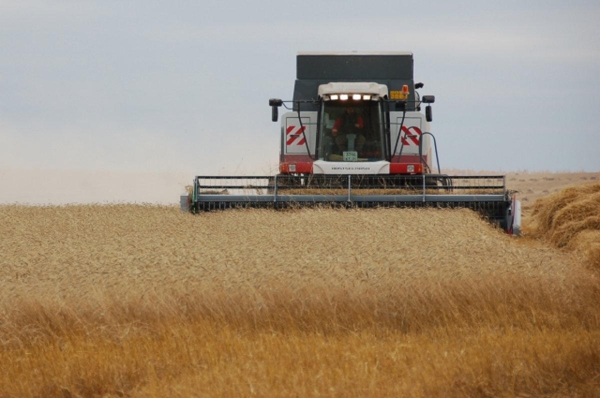    В Минсельхозе США ожидают падение производства зерна на Украине