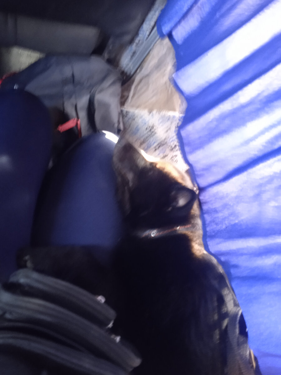 Простите, фотка получилась ужасная. Здесь G на себя не похожа, старуха какая-то, седая и с морщинами😆