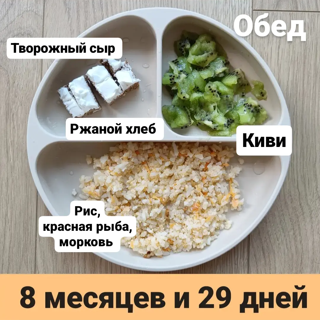 Прикорм. Тарелка 8 месяцев и 29 дней. Обед. | В поисках дома ❤️ Вьетнам  🇻🇳 Нячанг | Дзен