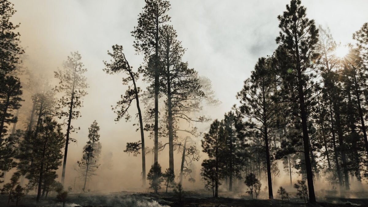    Фото: unsplash.com. Август Макаров