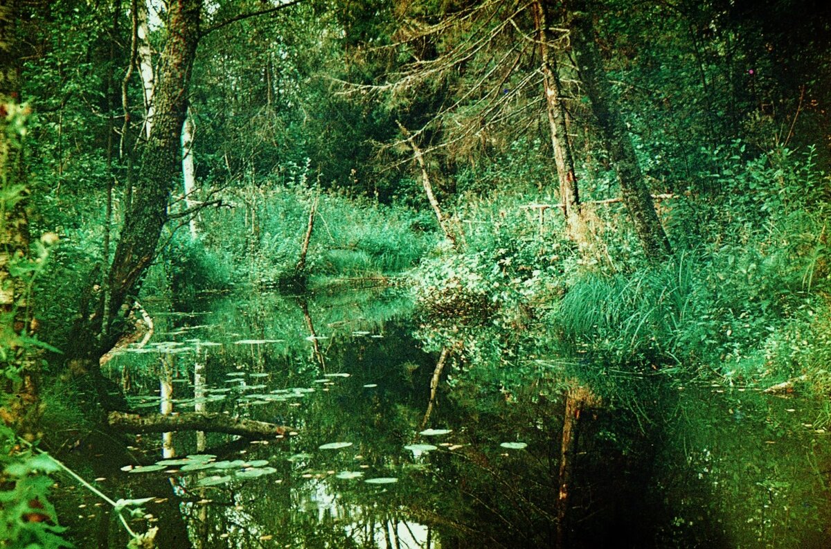 Сокольский район. Речка Губинка. Фото: Александр Алексичев, 1985 год.