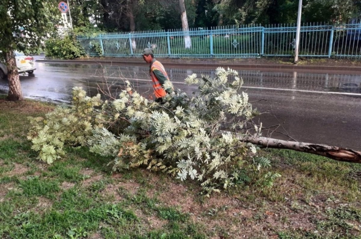    На областную столицу Кузбасса обрушился штормовой ветер