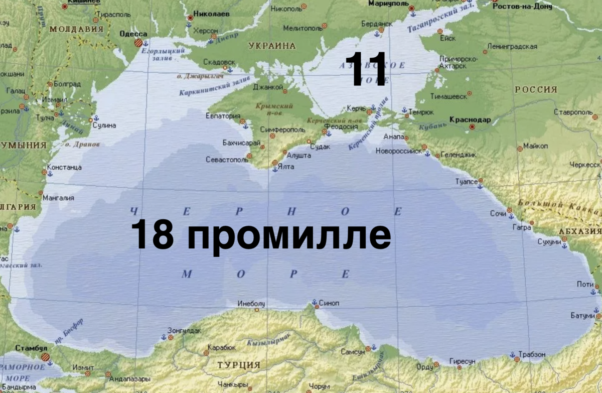 Картинки ОКРУЖАЮЩИЙ МИР ПРО ЧЕРНОЕ МОРЕ