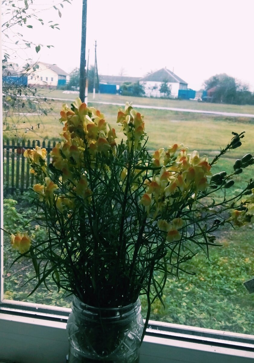 В деревне не до отчаяния)