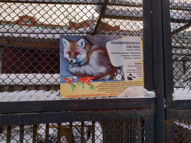 Пермский зоопарк пермь. Зоопарк пермь время работы. Зоопарк пермь время работы. Куда переехал зоопарк пермь. Зоопарк пермь время работы.