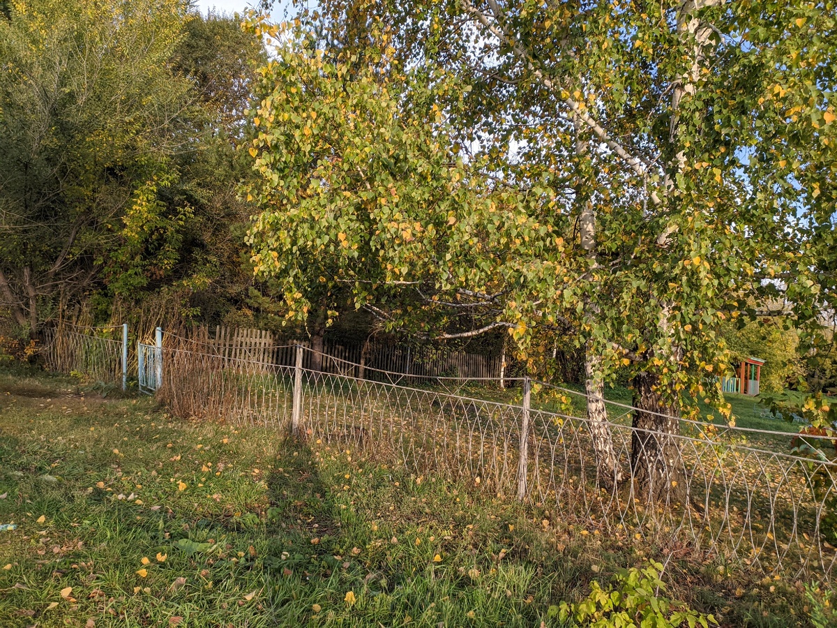                                                             Утро 22 сентября