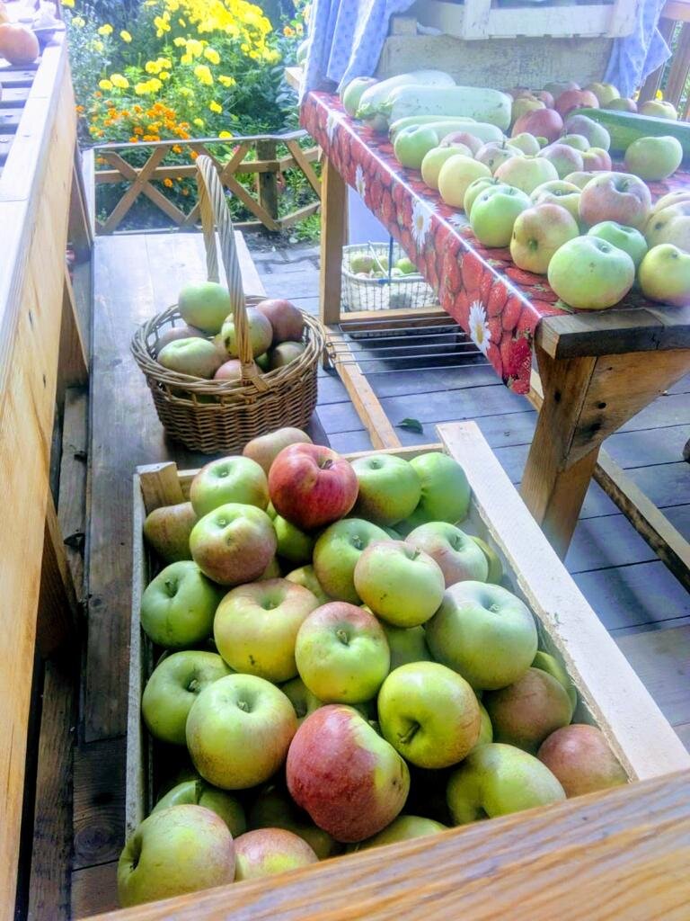 Фото автора.