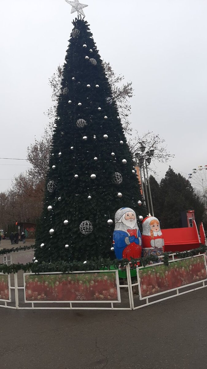 Центральная елка !