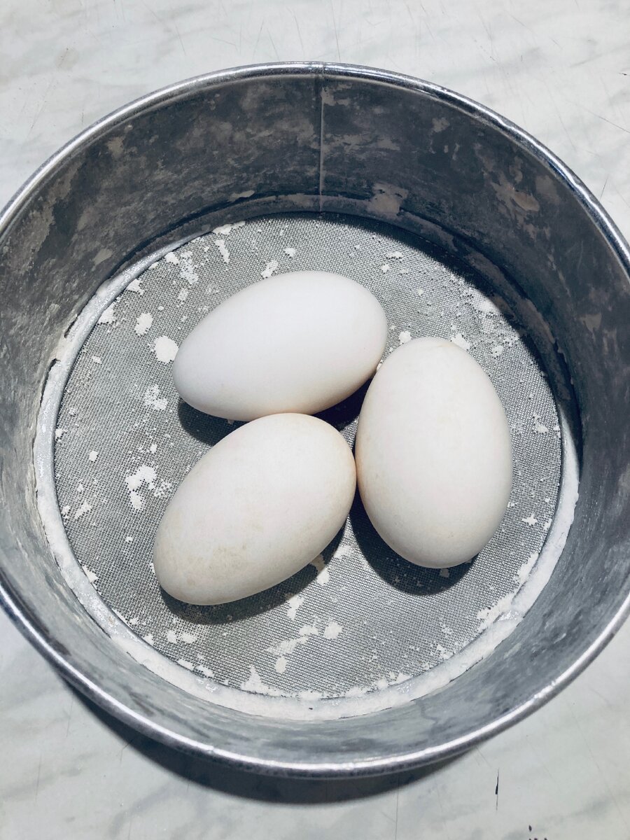 Гусиные яйца едят. Гусиные яйца. Яйца гуся. Гусиные синие яйца. Гусиное яйцо вареное.
