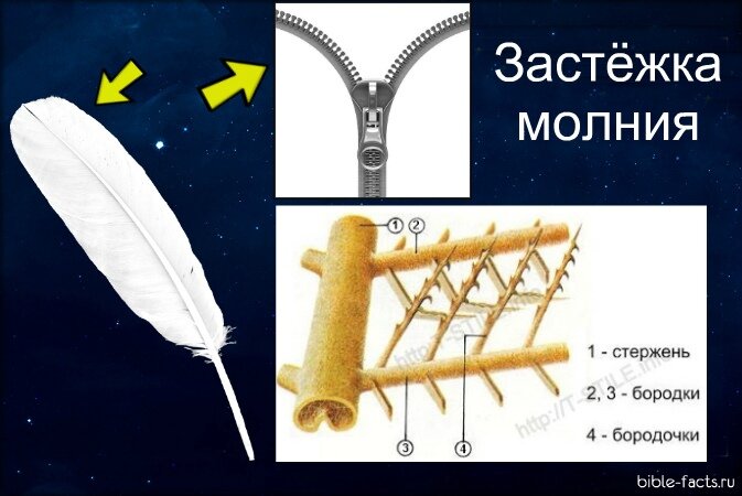 Крепления для ремешков