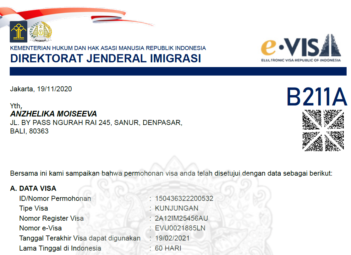 Электронная виза. Виза на Бали. Виза b211 в Индонезию. Электронная деловая виза. Виза b211