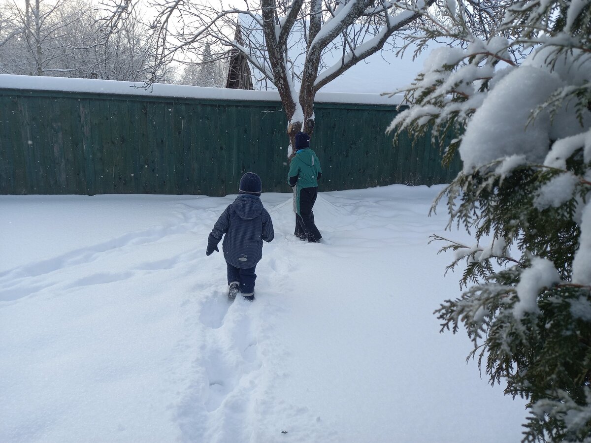 Идут к "денежному дереву"