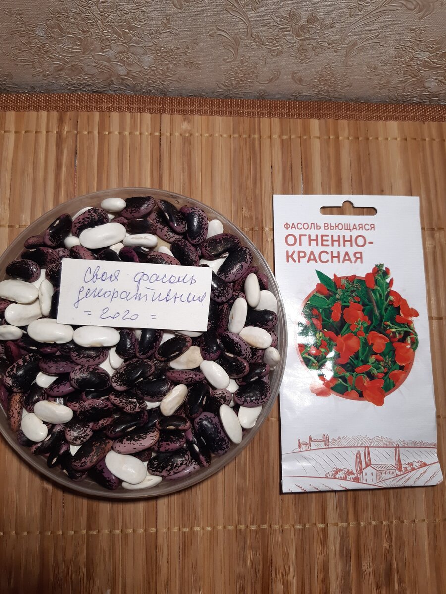Фасоль своя, урожай 2020 года. Фасоль из магазина по 5 шт. в пакетике