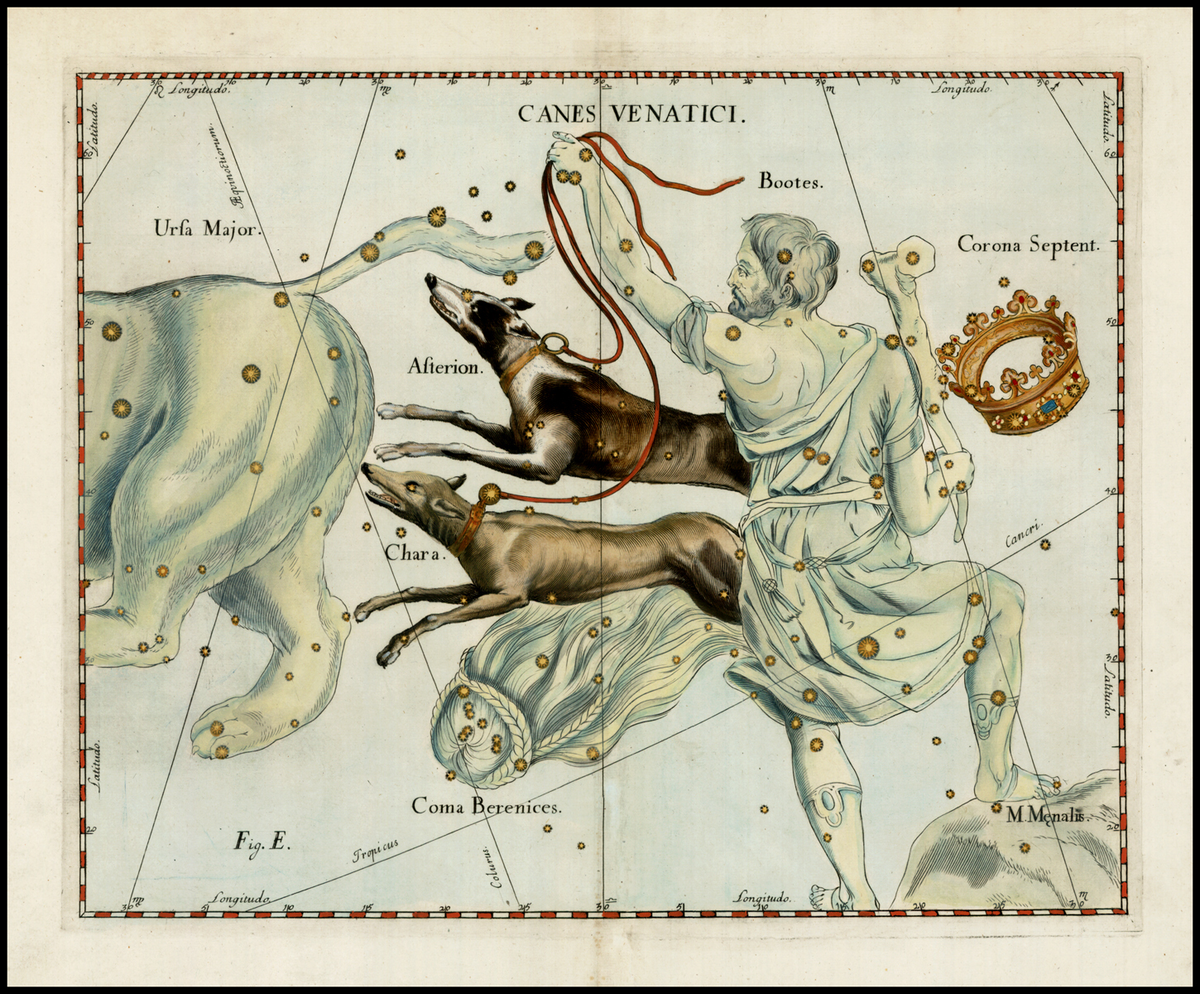 Κόμη Βερενίκης