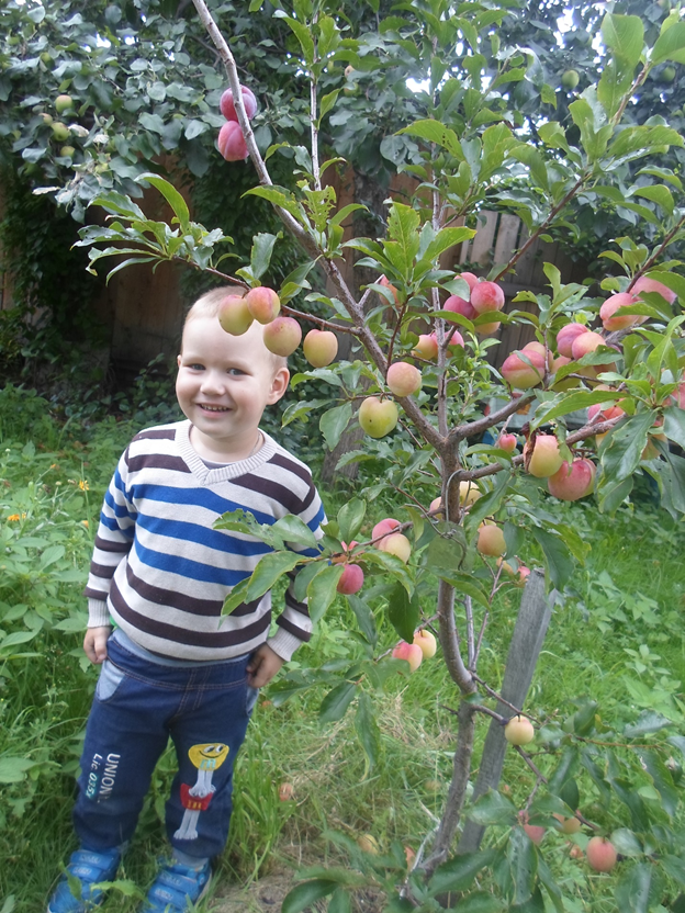 В моем саду, Сибирь