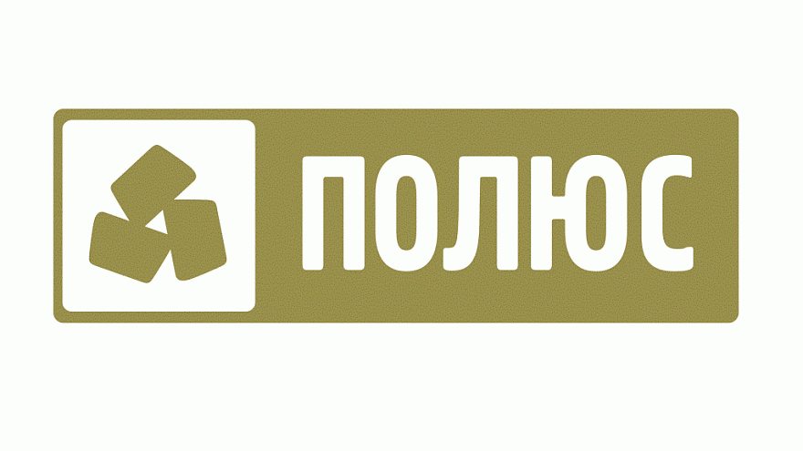 Сайт полюс проект